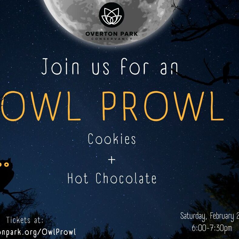 Owl Prowl - logo